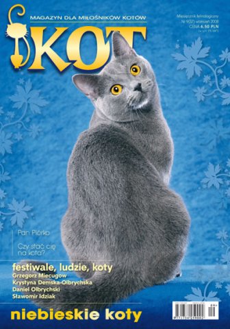 Kot - magazyn